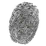 Glitzerlack fein Iriodin Maske 1