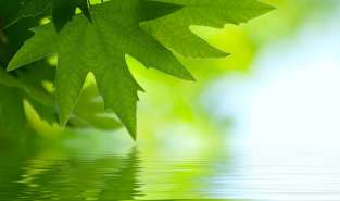  Umweltschutz und Nachhaltigkeit sind Grundvoraussetzungen für zukunftsfähige ... Mehr dazu >>