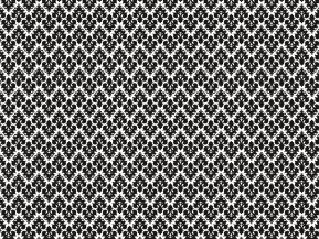 10 Schaumlack (100%)